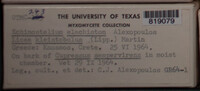 Image Associated With the Occurence